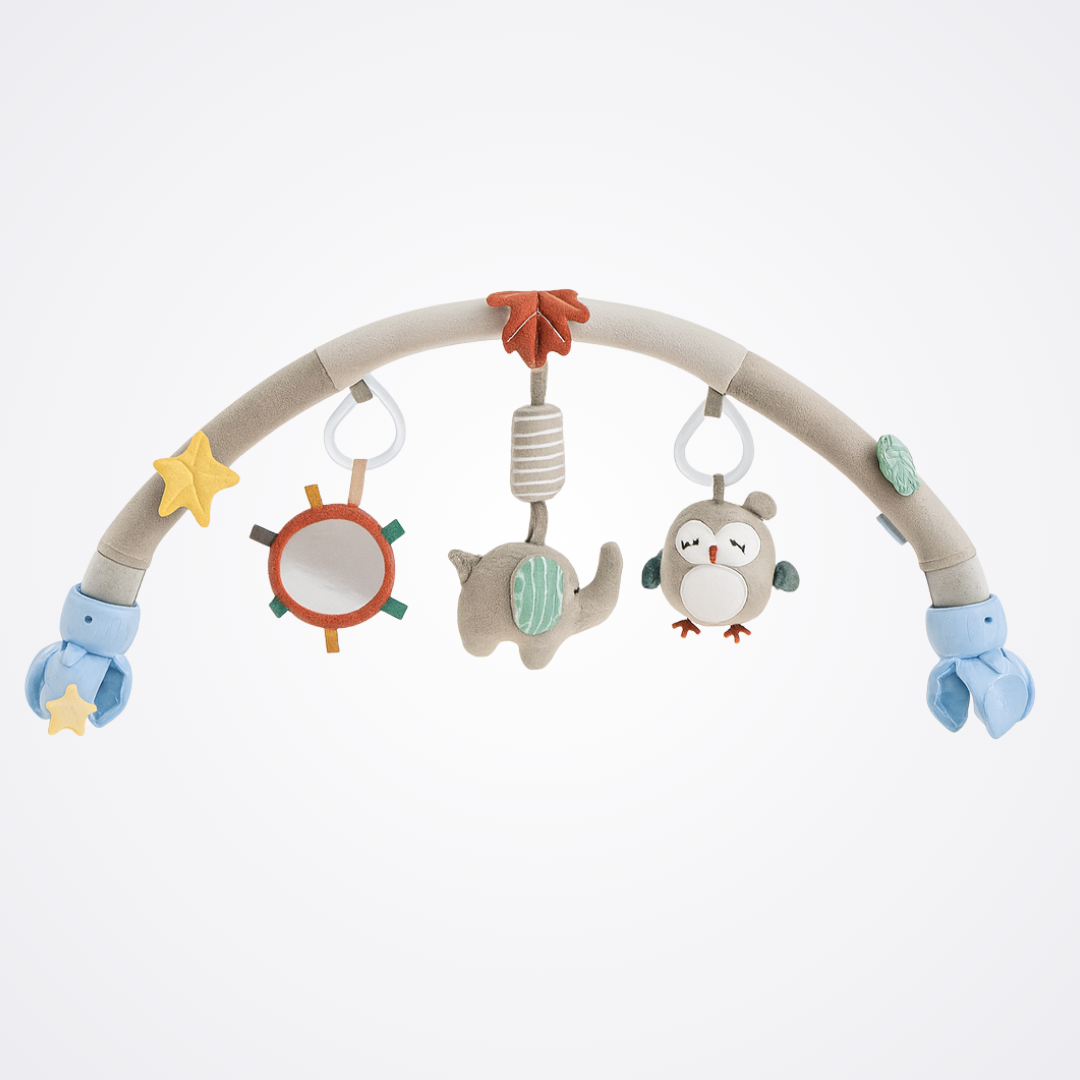 Arche d’éveil multi-supports